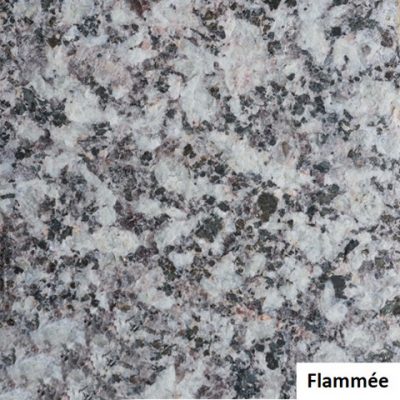 Feuille-Morte-de-Senones-flamme